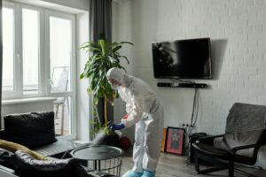 Home Cleaning